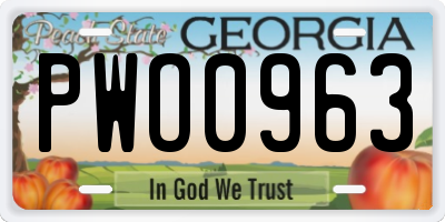 GA license plate PWO0963
