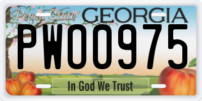 GA license plate PWO0975