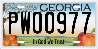 GA license plate PWO0977