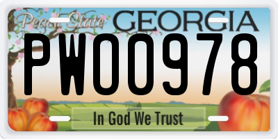 GA license plate PWO0978