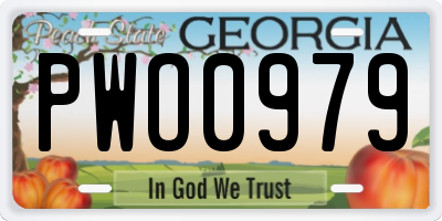 GA license plate PWO0979