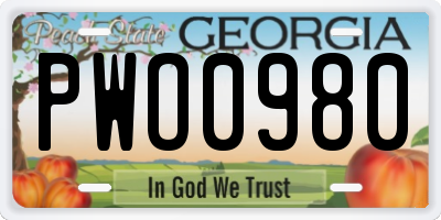 GA license plate PWO0980
