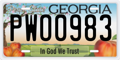 GA license plate PWO0983