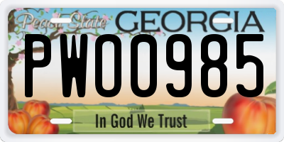 GA license plate PWO0985