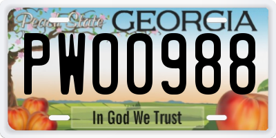 GA license plate PWO0988