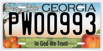 GA license plate PWO0993