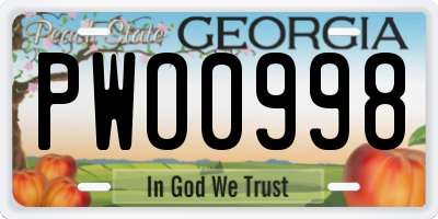 GA license plate PWO0998