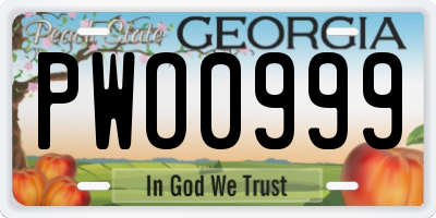 GA license plate PWO0999