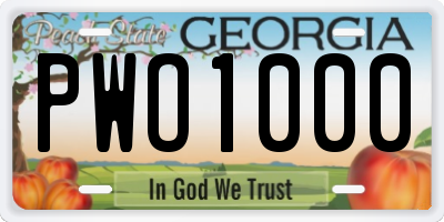 GA license plate PWO1000