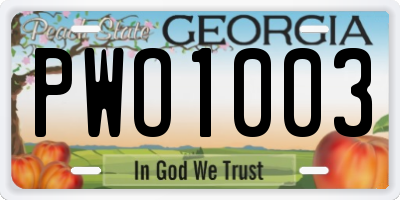 GA license plate PWO1003