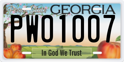 GA license plate PWO1007