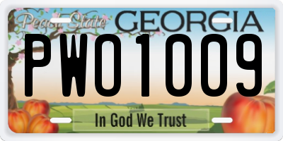 GA license plate PWO1009