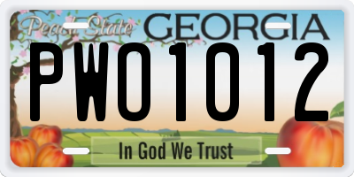GA license plate PWO1012