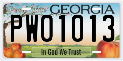 GA license plate PWO1013