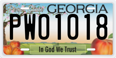 GA license plate PWO1018