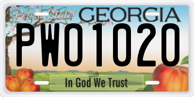 GA license plate PWO1020