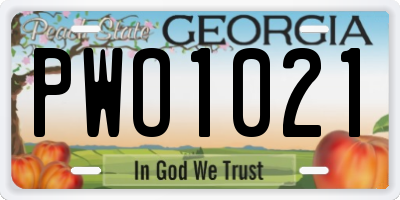 GA license plate PWO1021