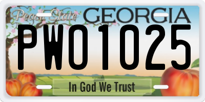 GA license plate PWO1025