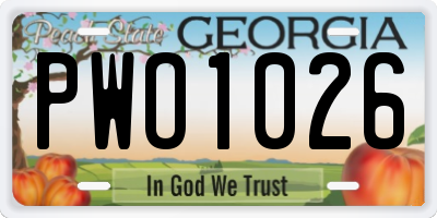 GA license plate PWO1026