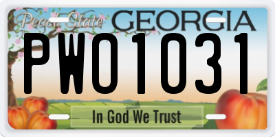 GA license plate PWO1031