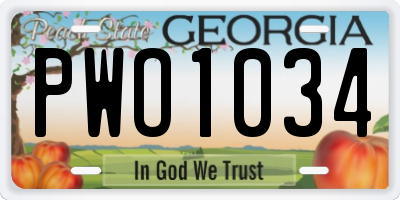GA license plate PWO1034