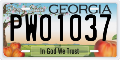 GA license plate PWO1037