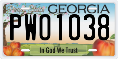 GA license plate PWO1038
