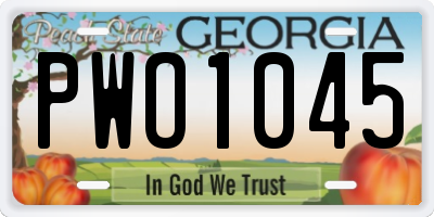 GA license plate PWO1045