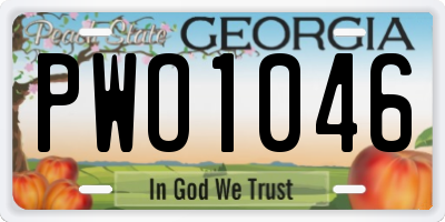 GA license plate PWO1046