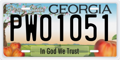GA license plate PWO1051