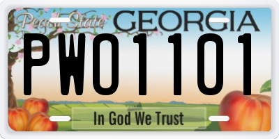 GA license plate PWO1101