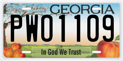 GA license plate PWO1109