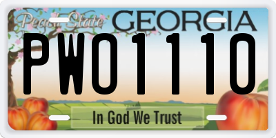 GA license plate PWO1110