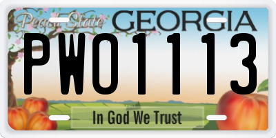 GA license plate PWO1113