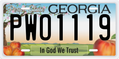 GA license plate PWO1119