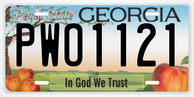 GA license plate PWO1121