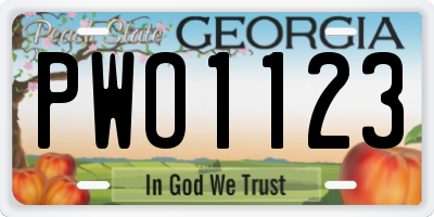 GA license plate PWO1123