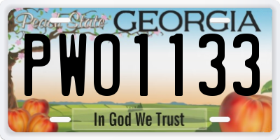 GA license plate PWO1133