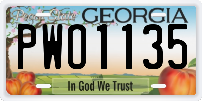 GA license plate PWO1135