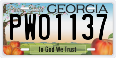 GA license plate PWO1137