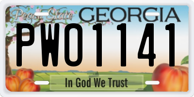 GA license plate PWO1141