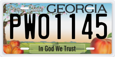 GA license plate PWO1145