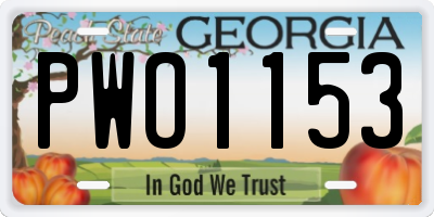 GA license plate PWO1153