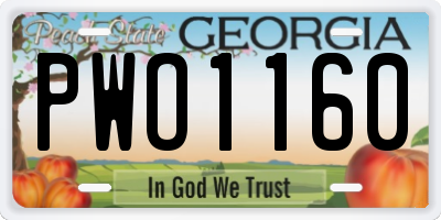 GA license plate PWO1160