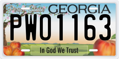 GA license plate PWO1163
