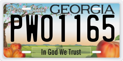 GA license plate PWO1165