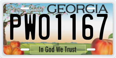 GA license plate PWO1167