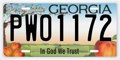 GA license plate PWO1172