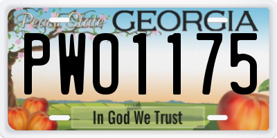 GA license plate PWO1175