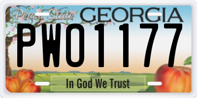 GA license plate PWO1177